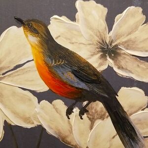 Meet your Posher, Paula